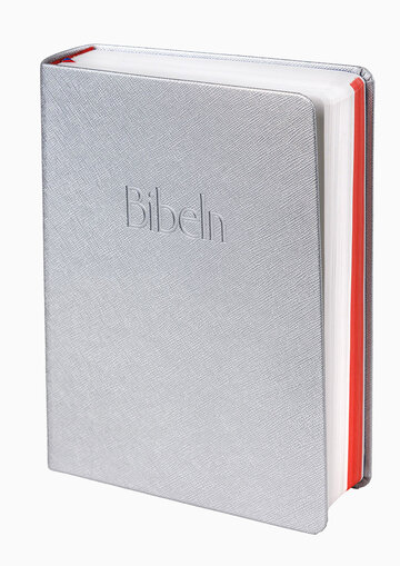 Bibel 2026 silver