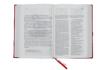 Bibel 2000, storstil