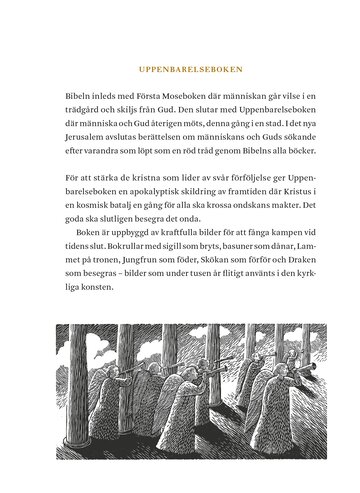 Bibel 2026 naturvit