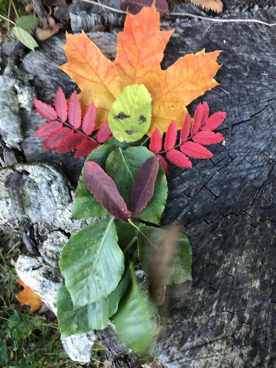 En humanoid figur gjord av olikfärgade löv.