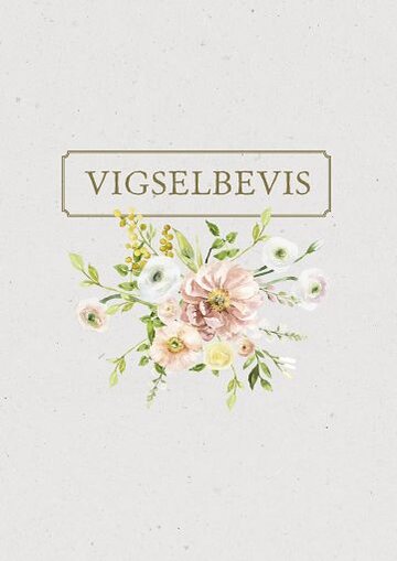 Vigselbevis Mimosa, 25-pack