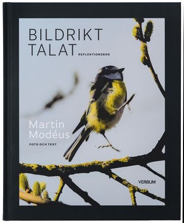 Bildrikt talat, reflektionsbok