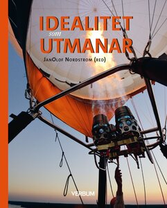 Idealitet som utmanar