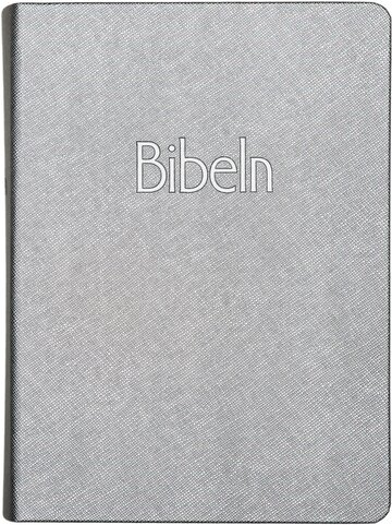 Bibel 2026 silver