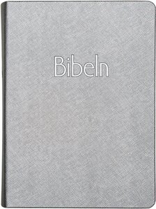 Bibel 2026 silver